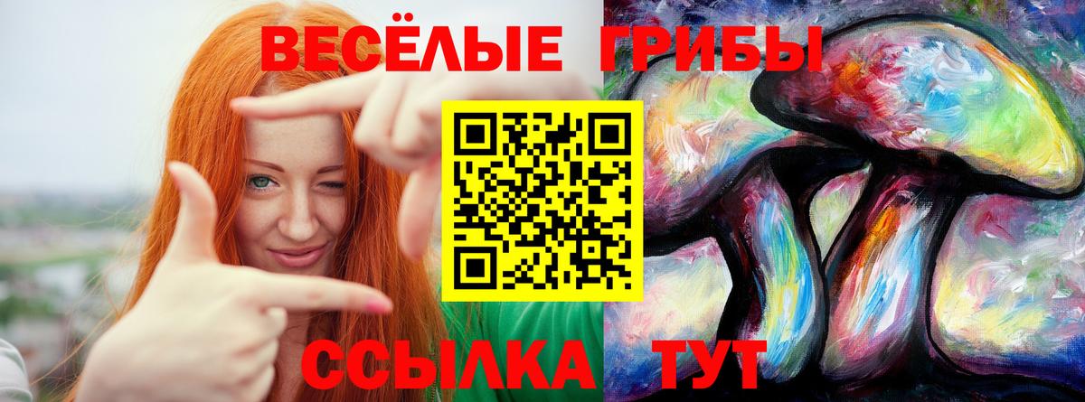 Галлюциногенные грибы Psilocybine cubensis  Вход с VPN  Северск 